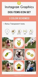 Dog Items Instagram Story Highlight Icons Cute Dog Items Etsy In 2020 Story Highlights Instagram Graphics Instagram Story