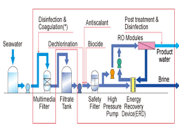 Assignment You Need To Draw And Label Each Step Of The Water