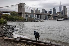 News source: The New York Times