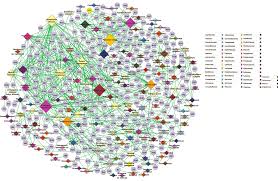 Image result for Solanecio cydoniifolius