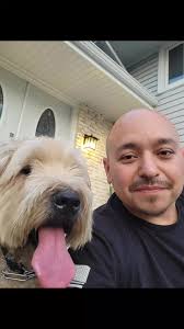 #dogsoftiktok #wheatenterrier #softcoatedwheatenterrier #mansbestfriend🐶