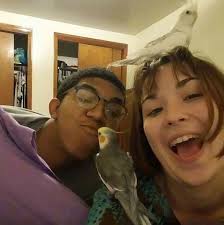 Do birds often lose feathers from flapping wings?