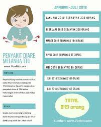 Infografis Penyakit Diare Melanda Ttu Voxntt Com