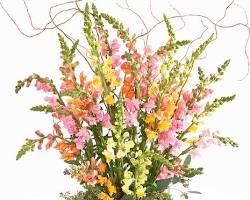 Image of bouquet of snapdragons