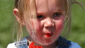 Strawberry pickers turn out in record numbers