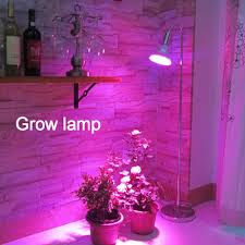 Sure, if you've got a large indoor garden in a dedicated space, hanging your grow lights makes sense. Red And Blue Growth Floor Standing Lamp Plant Grow Light For Flower Racks In Office Home Indoor Greenhouse Flower Grow Piece Specifications Price Quotation Ecvv Industrial Products