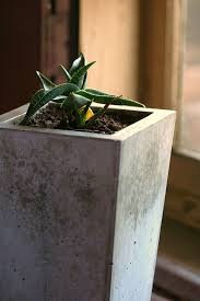 Concrete Planter Large Concrete Planters Concrete Planters Planters