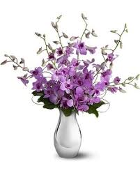 Celebrate and remember the lives we have lost in new port richey, florida. Jupiter Florist Flower Delivery By Anna Flowers