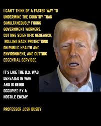 Liz Cheney/Adam Kinzinger Against Trump