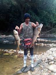 Memancing Sungai Sepia Sungai Taman Negara Pahang Page Facebook