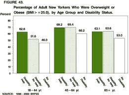 chartbook on disability in new york state 1998 2000