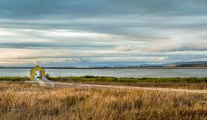 Paved trails lead past the golf course, around the lake, and along the tidal marshes and salt ponds. Alviso Marina County Park Google æœå°‹