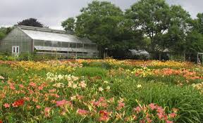 The ultimate list of the top 10 best nursing schools in massachusetts. Favorite Nurseries In New England Enchanted Gardens