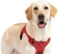 Dog Harness, No Pull Adjustable Reflective Dog Vest Harness, Soft  (Red,Size:L)