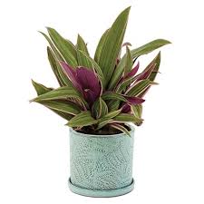 We sell flower arrangements, gift baskets, balloons, stuffed animals, etc. Fashion Flowers Fresh Flowers In Lancaster Ca Same Day Flower Gift Delivery