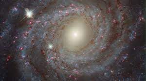 We did not find results for: Spiral Galaxy Ngc 3344 Hubble Delivers Amazing Views Youtube