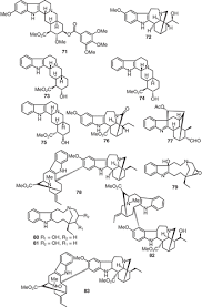 Image result for Voacanga chalotiana
