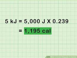 kj to kcal cleanhiks