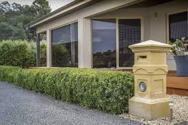 A small shrub, the white flowering form has clean fragrant white flowers, a pink flowering form is also available due to its dense foliage once established, you could use daphne eternal fragrance as a low hedge or border in the garden. Hedge Experiments With Daphne And Leptospermum