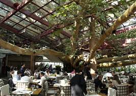 One Of My Most Memorable Dinners Was Spent Here Restaurant Figueira Rubaiyat In Sao Paulo Brasi Winter Garden Restaurant Outside Restaurant Tree Restaurant