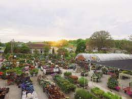 Celebrate pollinator month and shop berns garden center online! Iowa City Landscaping