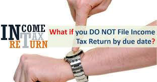 The majority of people file a 1040. Penalty For Late Filing Of Income Tax Return Ay 2019 20