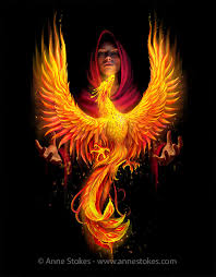 Image result for Phoenix