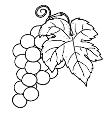 Pin Su Carta Dei Vini