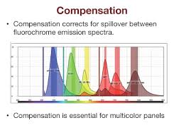 Compensation Part 1