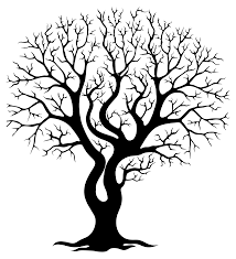Free Tree Clipart Family Tree Drawing Tree Drawing Tree Clipart