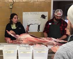 نتیجه جستجوی لغت [butchering] در گوگل