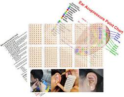 600x Acupuncture Vaccaria Ear Seeds Chart And Instructions