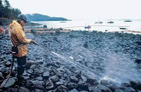 The alaska department of environmental conservation, or. Exxon Valdez Oil Spill Response Animals Facts Britannica