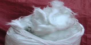 Asbestos wool: bông amian