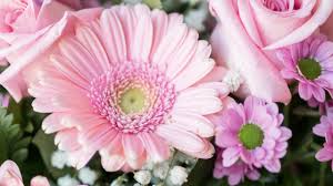 Scegli la tua composizione floreale preferita, inserisci i dati richiesti e procedi al pagamento. Bouquet Del Mese Mazzo Di Fiori Per Un Amica