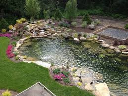 Beautiful backyard ponds and cool water garden ideas. Tips For A Low Maintenance Backyard Pond Decker S Pondscapes Serving The Capital Region Upstate Ny
