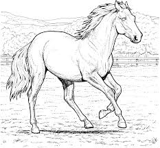 Some of the coloring page names are horse coloring pick and your pony, gypsy coloring at, gypsy vanner mare and foal by lomasi89 on deviantart, gypsy vanner coloring at, travelers dream gypsy, gypsy vanner coloring at. Free Printable Horse Coloring Pages For Kids