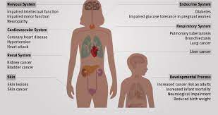 Arsenic S Effects On Human Body Source Human Rights Watch 2016 Download Scientific Diagram