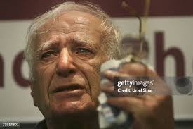 155 Glasberg Stock Photos, High-Res Pictures, and Images