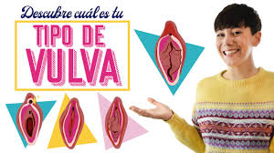 Tipos de vagina NO, tipos de vulva SI, ¡descúbrelas! | RedLights.es