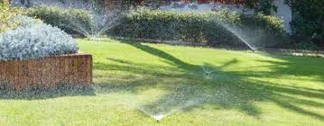 Water trees and shrubs as needed, but not between 10 a.m. How Often To Water Your Lawn In Summer 5 Things To Know