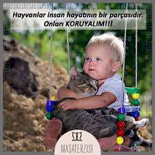 Yarin 4 Ekim Hayvanlari Koruma Gunu Kutlu Olsun Hayvanlarikorumagunu Hayvan Haklari Hayvanlar Hayvan