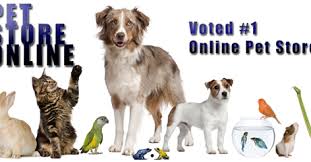 Since the event has been removed from the game, players can only obtain the ghost bunny through trading with other players. Pet Store Online Home Facebook