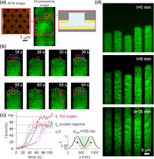 نتیجه جستجوی لغت [circumvent] در گوگل
