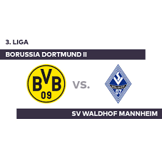Squad of sv waldhof mannheim. Borussia Dortmund Ii Sv Waldhof Mannheim Waldhof Mannheim Holt Remis Dank Boyamba 3 Liga Welt