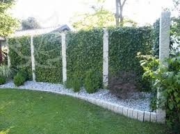 Mobilane Fertighecke Sichtschutz Zaun Garten Landschaftsbau Efeuhecke Sichtschutzzaun Garten