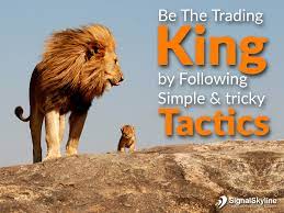 I am on the road to becoming one of the most influential traders in the stock market today. Trading King Archives Signal Skyline
