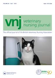 The influencing factors should always be considered when creating the care plan for the animal and adjustments made appropriately. Full Article The Use Of Care Plans In Veterinary Nursing A Recently Qualified Rvn S Experience