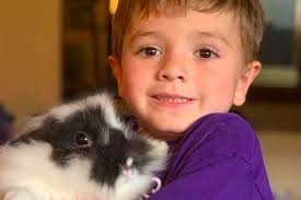 Controlled Chaos Ranch & Rescue