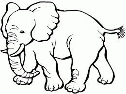⭐ free printable color by number coloring book. Free Printable Elephant Coloring Pages For Kids Elephant Coloring Page Zoo Animal Coloring Pages Zoo Coloring Pages